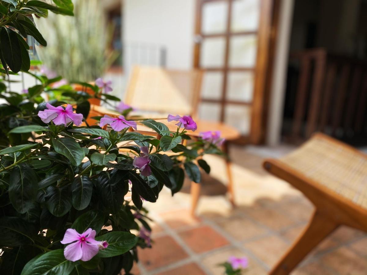Hotel Casa Ritual à Puerto Vallarta Extérieur photo